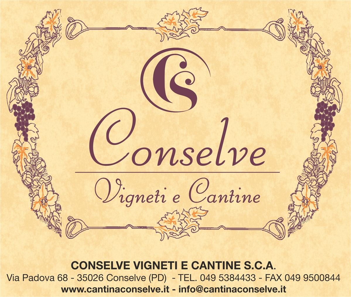 Conselve Vigneti e Cantine  S.C.A.